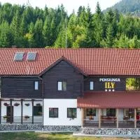 Pensiunea Ily, hotell i Colibiţa