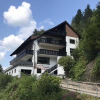 Pension Schwarzwaldblick, Hotel in Hornberg