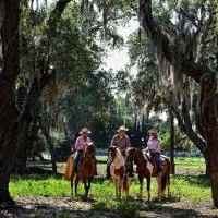 Westgate River Ranch Resort & Rodeo, hotel in River Ranch