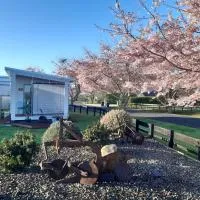 Denchys B&B, hotel di Matamata
