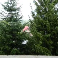 Hotel Breaza, отель в городе Бряза