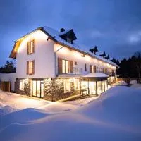 Hotel Tannenhaus, hotel em Schöneck