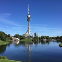 Studio München nahe Olympiapark, отель в Мюнхене, в районе Моосах