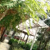 ต้งโฮมหละปูน, hotell sihtkohas Lamphun