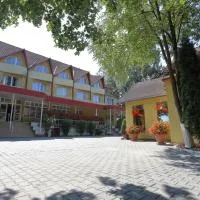 Pensiunea Grandlion, hotel u gradu 'Gorneşti'