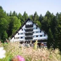 Hotel Tisa Pohorje, готель у місті Хочко Похорє