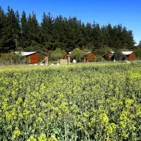 Cabañas Los Ciervos, hotel din Parral