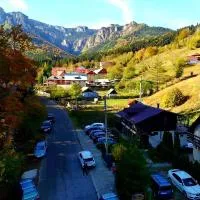 Pensiunea Bia Papadia, hotel v mestu Bicaz