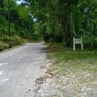 Tha Lagoon Spots CooL VyBz, hotel in Port Antonio