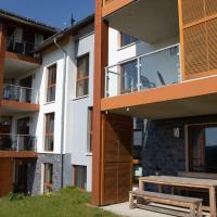Luxurious apartment in Winterberg-Neuastenberg with private sauna