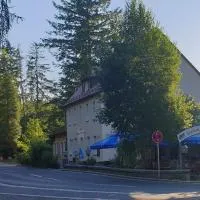 Hotel Berggasthof Waldlust, hotel sa Wunsiedel