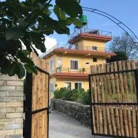 Mone's Mountain View Hotel, hotel u gradu 'Kāskī'