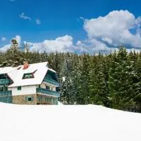 Apartma Borovnica Rogla, viešbutis mieste Vitanje