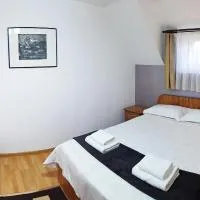 Dmc House, ξενοδοχείο σε Frumosu