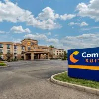 Comfort Suites Dayton-Wright Patterson, Hotel in Dayton