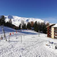 Studio 1 pièce PLAGNE VILLAGE 4 personnes 2050 M PIED DES PISTES