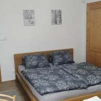 Ubytování Na Vyhlídce 143, hotel u gradu Benatki na Jizeri
