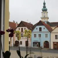 Pension TV, hotel i Planá