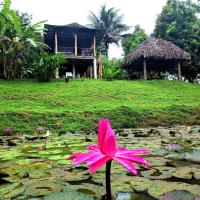 Bluff Hidden Paradise, hotel in Bocas Town