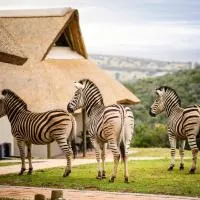 Jbay Zebra Lodge, hotel em Longmore