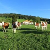 La ferme du bonheur, hotel em Pierrefontaine-les-Varans