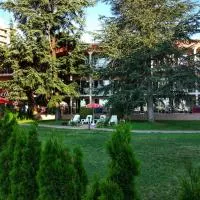 Elizabeth Dy Boutique Hotel، فندق في نيسيبار