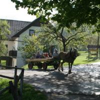 Tourist Farm Ljubica, hotel v mestu Poljane nad Škofjo Loko