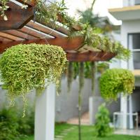 a garden with green plants hanging from a building at Seddo Apartments, Abidjan