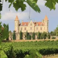 Château Moncassin Gites & Chambres D'Hôtes, hotel en Leyritz-Moncassin