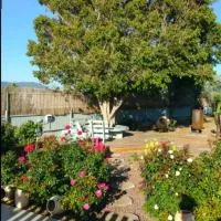 בחצר של טובה, hotel u gradu H̱azon