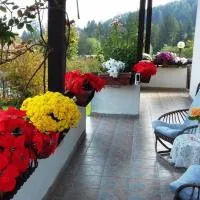 Villa Chanel, hotel v destinácii Borno