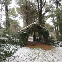 Aldea del bosque，塔納別墅的飯店