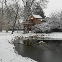 Cabane perch&eacute;e, h&ocirc;tel &agrave; Maisse