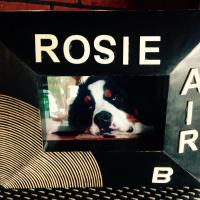 Rosie AirB