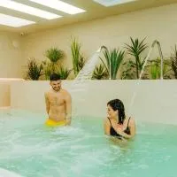 Hotel Ginkgo, hotel a Hódmezővásárhely