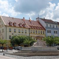a statue in the middle of a city with buildings at Hotel Česká Koruna, Děčín