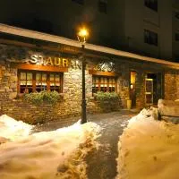 Hotel Els Puis, hotel em Esterri d'Àneu