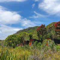 Punakaiki Beach Camp