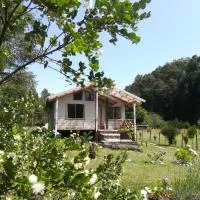 Cabañas Aliwen Panguipulli, hotelli kohteessa Panguipulli