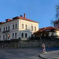 Hotel U Radnice Aš, отель в городе Аш
