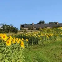 Garden Bank Cottage、ケルソーのホテル