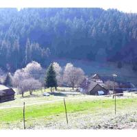 Ferienhaus Schwarzwald Seewald Erzgrube Badesee 100% Natur