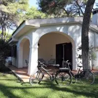 Villa Biancospini,16