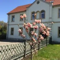 Stara Szkoła Dębowy Gaj The Old School Dębowy Gaj, khách sạn ở Lwówek Śląski