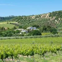 Dattilo Wine Relais, hotell sihtkohas Torre Melissa