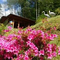 La casa alta, hotel i Corteno Golgi