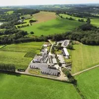 Llanerch Vineyard Hotel, готель у місті Генсол