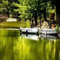 Dalya Life, hotel u gradu Godžek