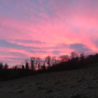 Forest View - Castlewellan, County Down