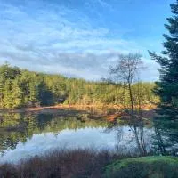 Otter's Pond Bed and Breakfast, ξενοδοχείο σε Eastsound